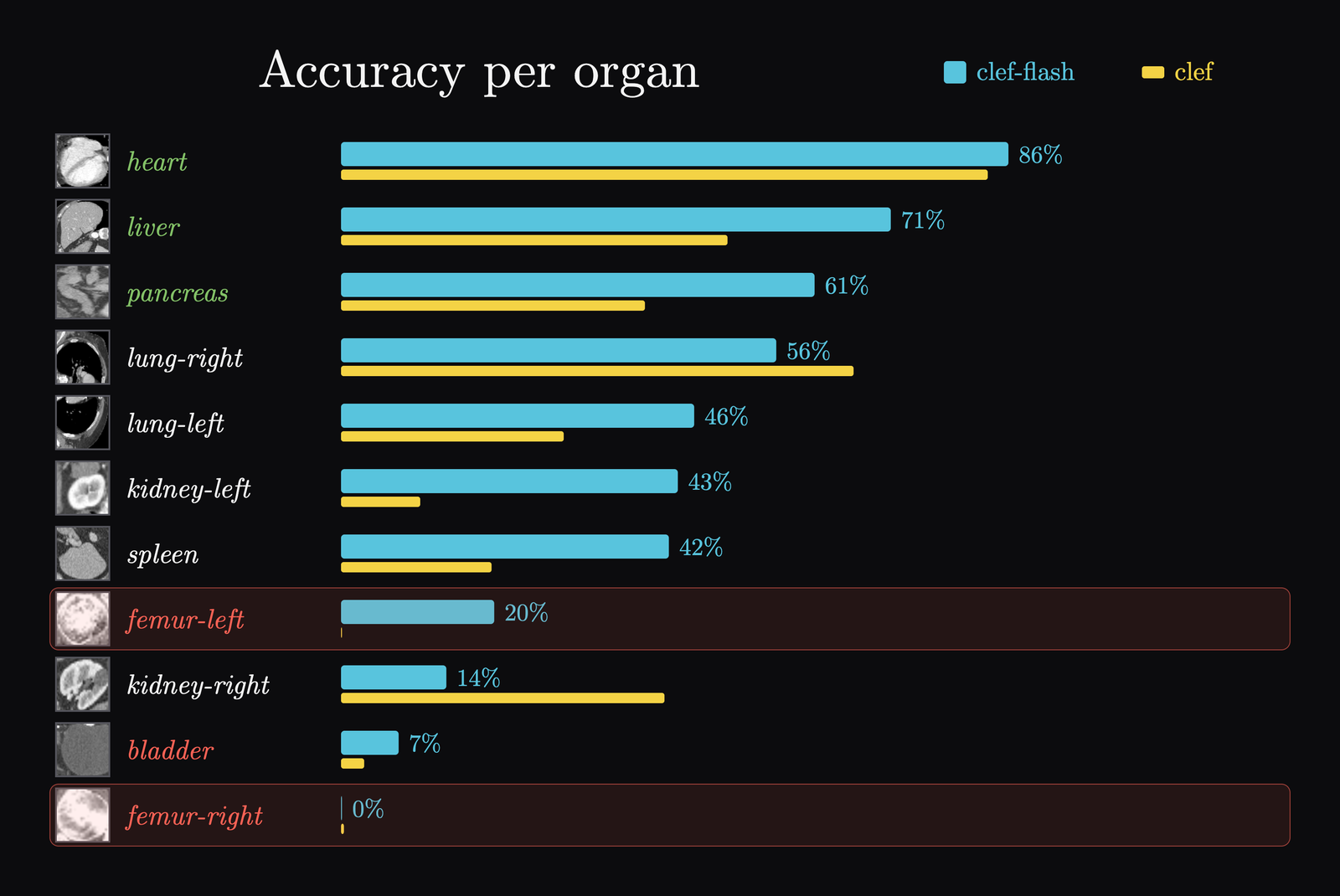 Accuracy per organ for both models